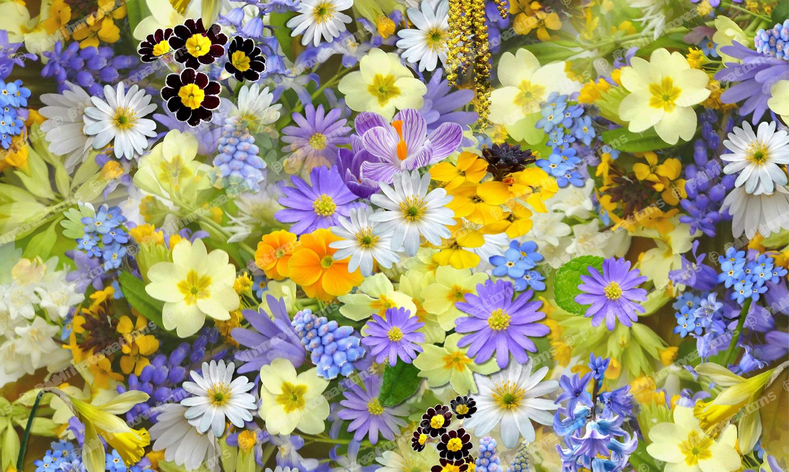 FC-001 Wildflower Garden — Digitally Printed Felt Door Mat Artwork